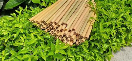 Ống hút tre Việt 